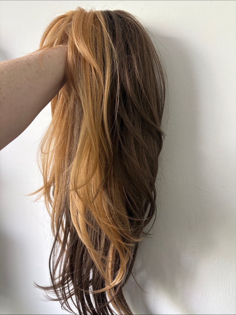 Blonde/Brown Lace Front Wig - Natural Honey Blonde - Picture 11 of 13